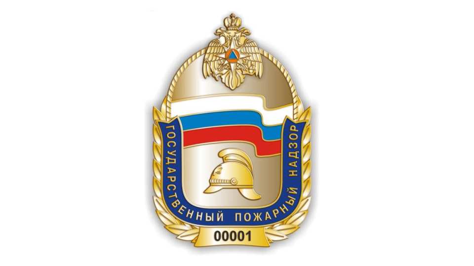 Государственный пожарный надзор г. Печора