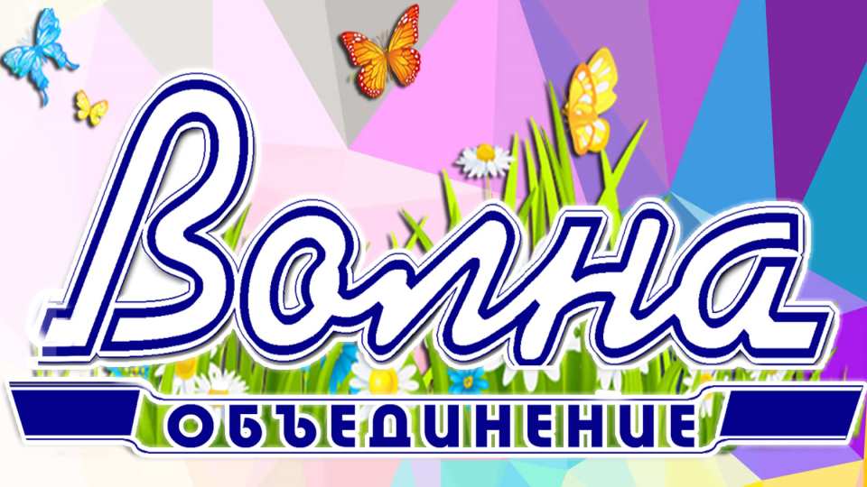 Объединение «Волна», г. Печора. Волна-Плюс, Телевидение, Радио, Газета