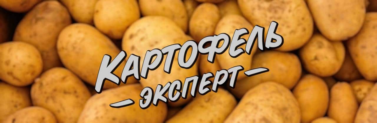 KartofelExpert.Ru